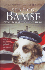bamse-book